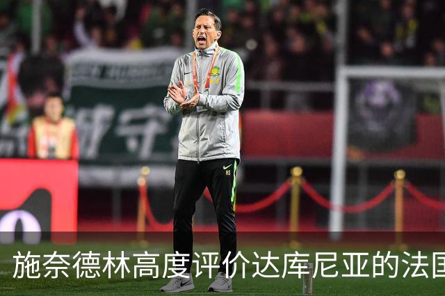 施奈德林高度评价达库尼亚的法国队初秀：他展现出过人的比赛智慧